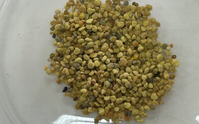 Projekt Razotkrivena alkemija.