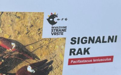 Invazija u tisini